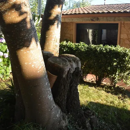 O Castro Apartment Cambados